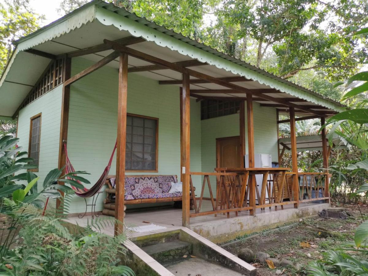 Luna Caribena Village Puerto Viejo de Talamanca Exterior foto