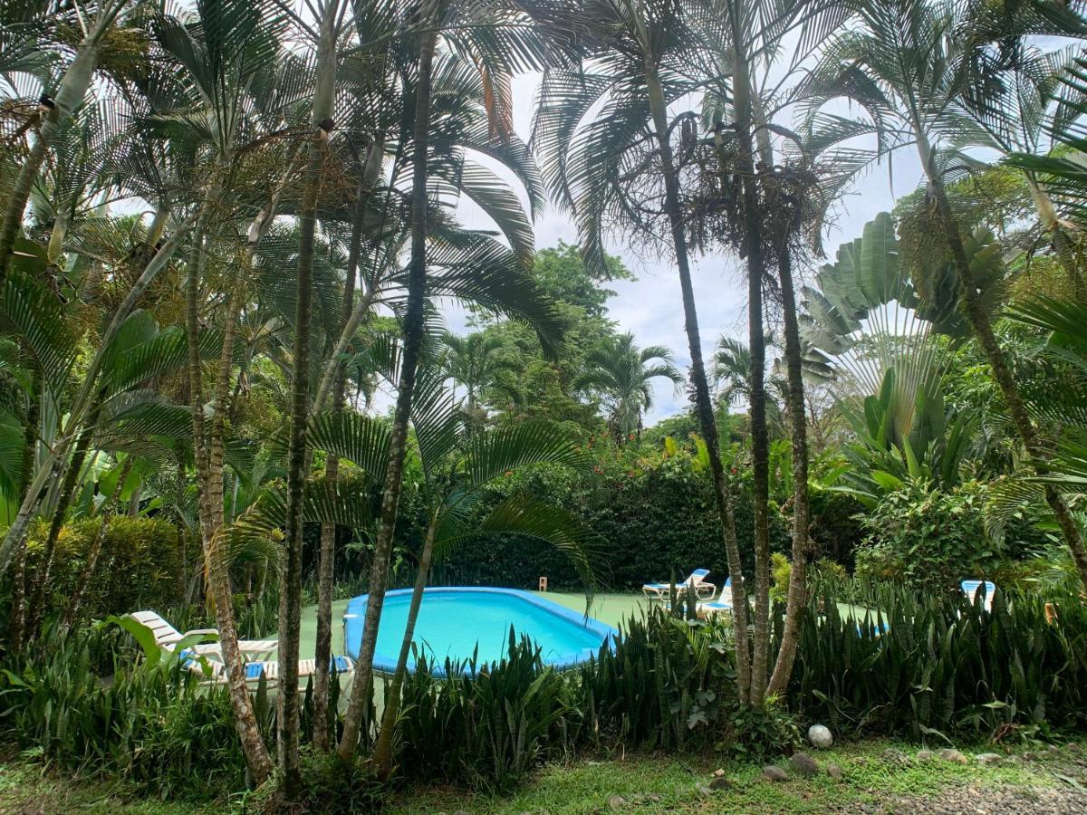 Luna Caribena Village Puerto Viejo de Talamanca Exterior foto